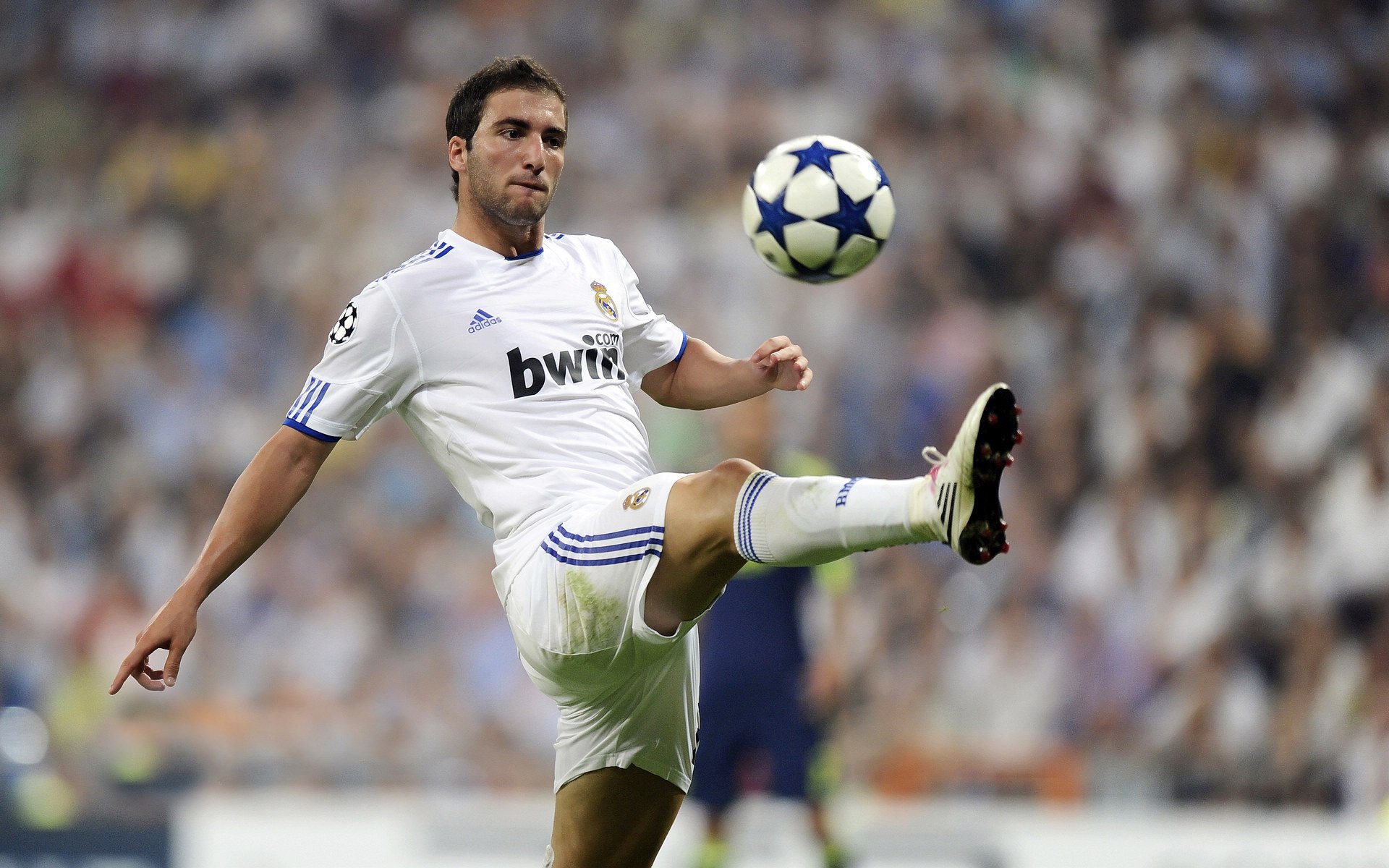 丹麦战队 CPH Wolves 将加强与社区的互动，丹麦队员名单