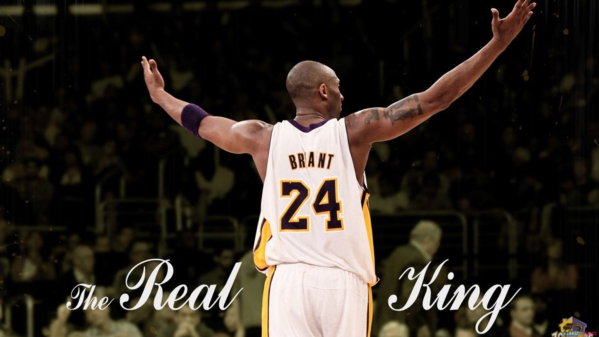 冠军车手的专属训练营：揭秘他们的每日习惯，冠军赛车手